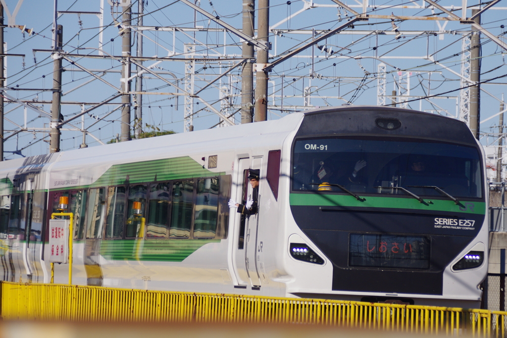 臨時のしおさい？