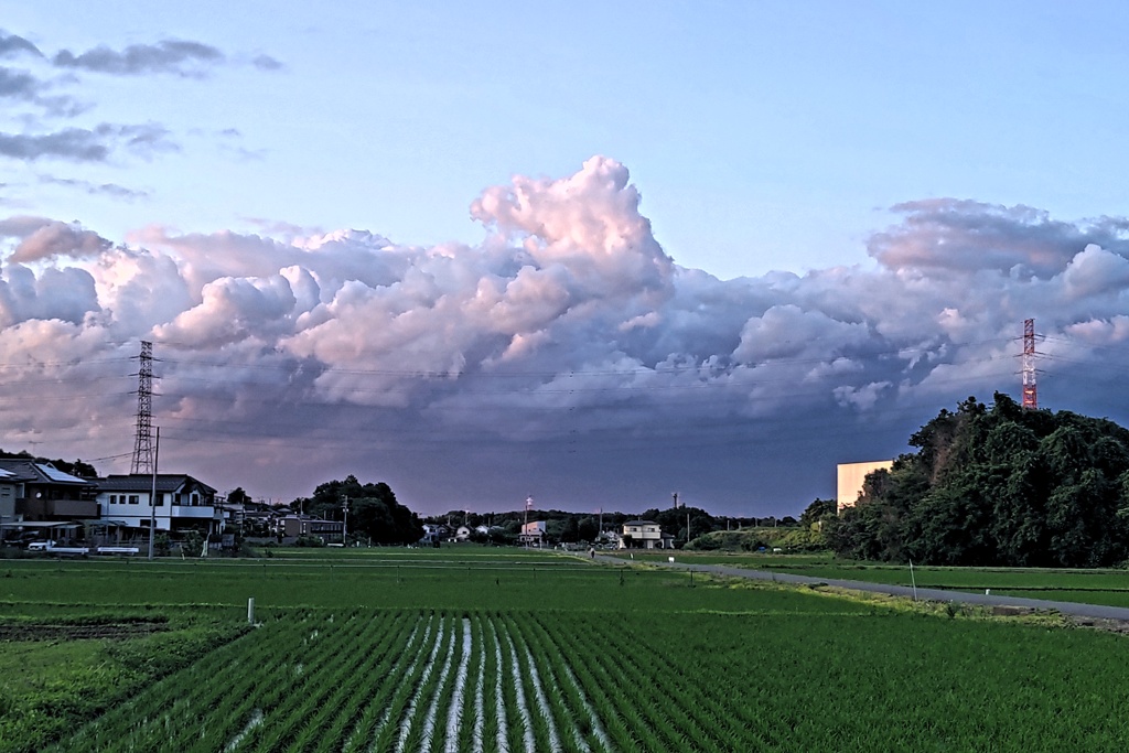 雲から龍(１)