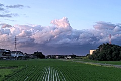 雲から龍(１)