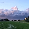 雲から龍(１)
