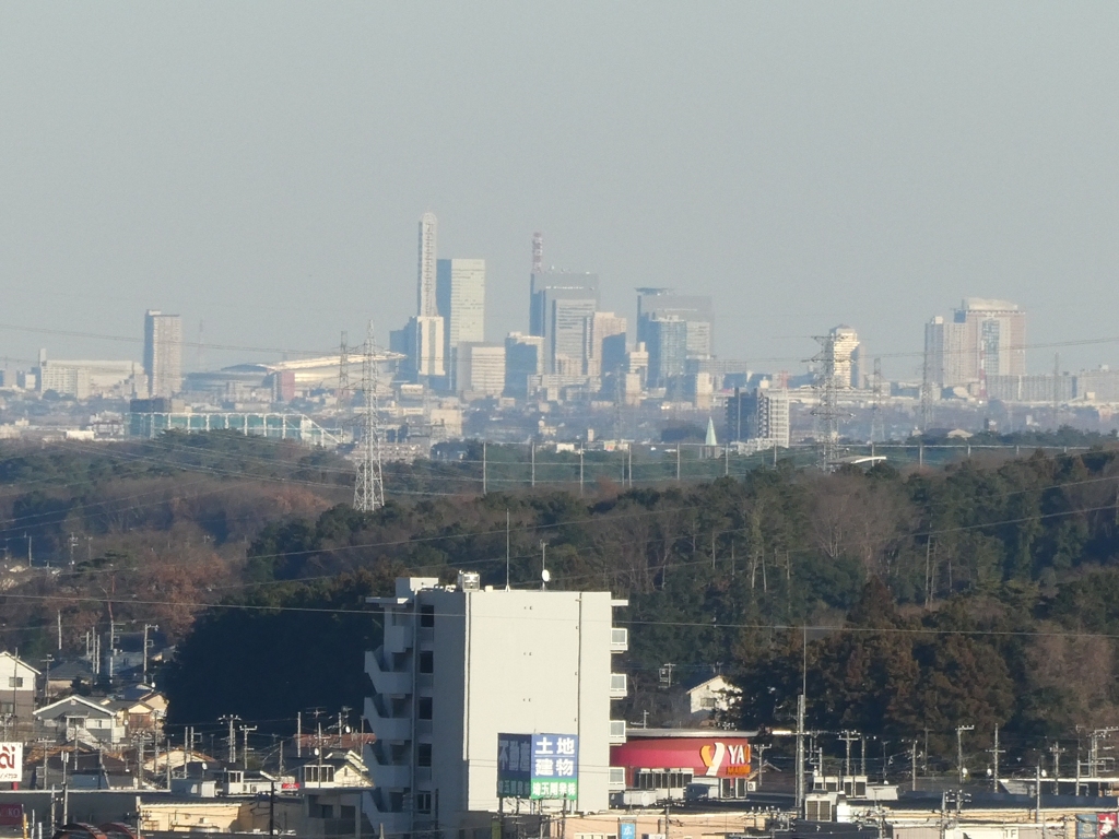 聖天院から眺めたさいたま新都心