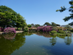 館林つつじ園の池