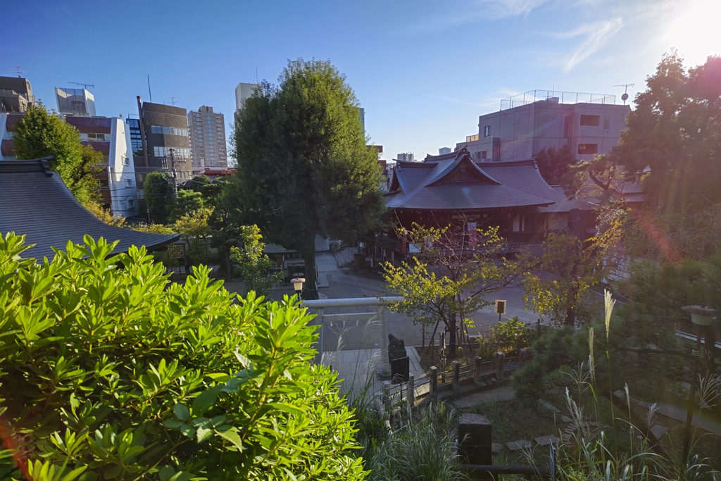 富士塚山頂からの風景