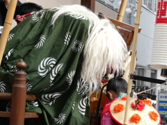 手古舞さんにカプッ！