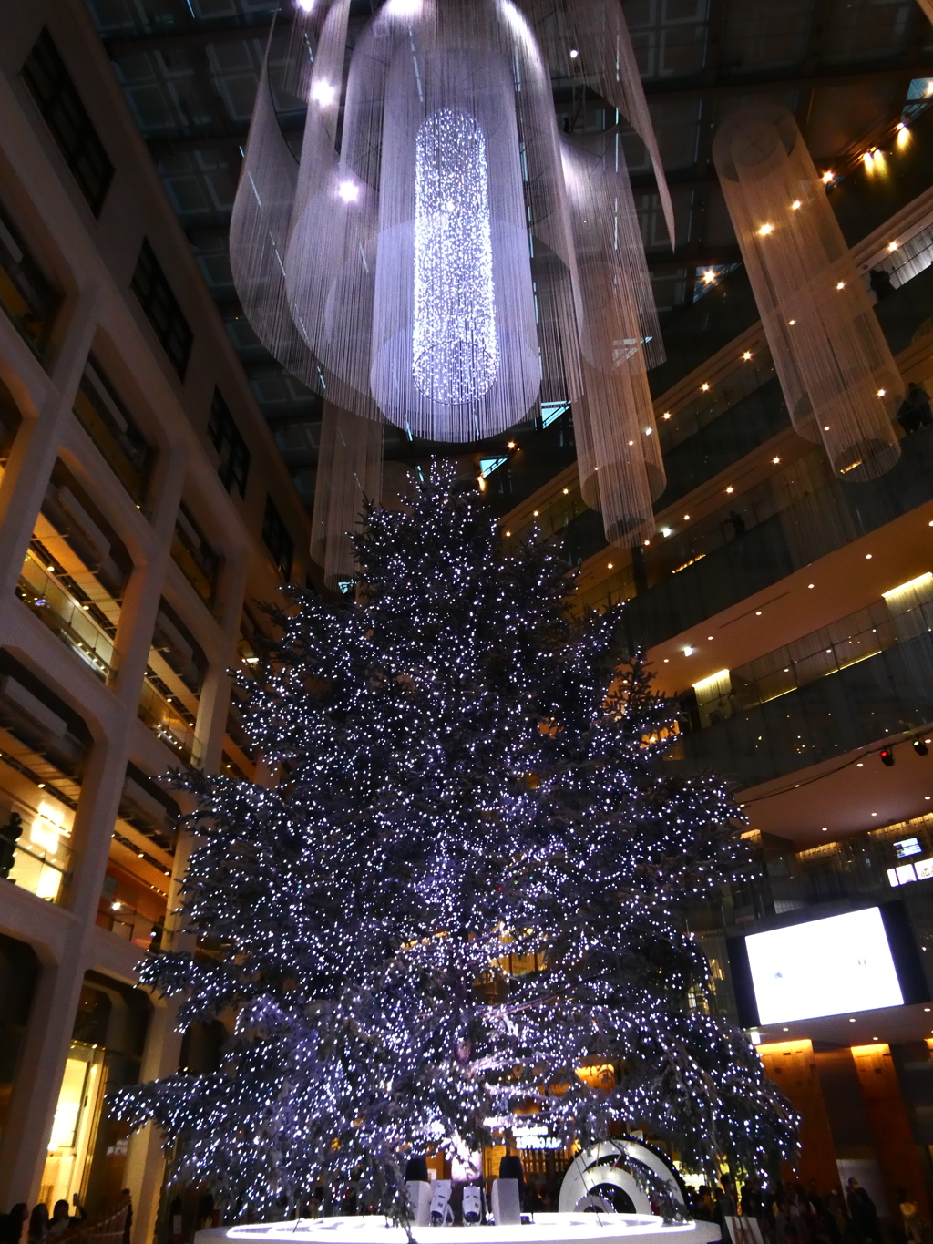 白いオーロラとクリスマスツリー(2)