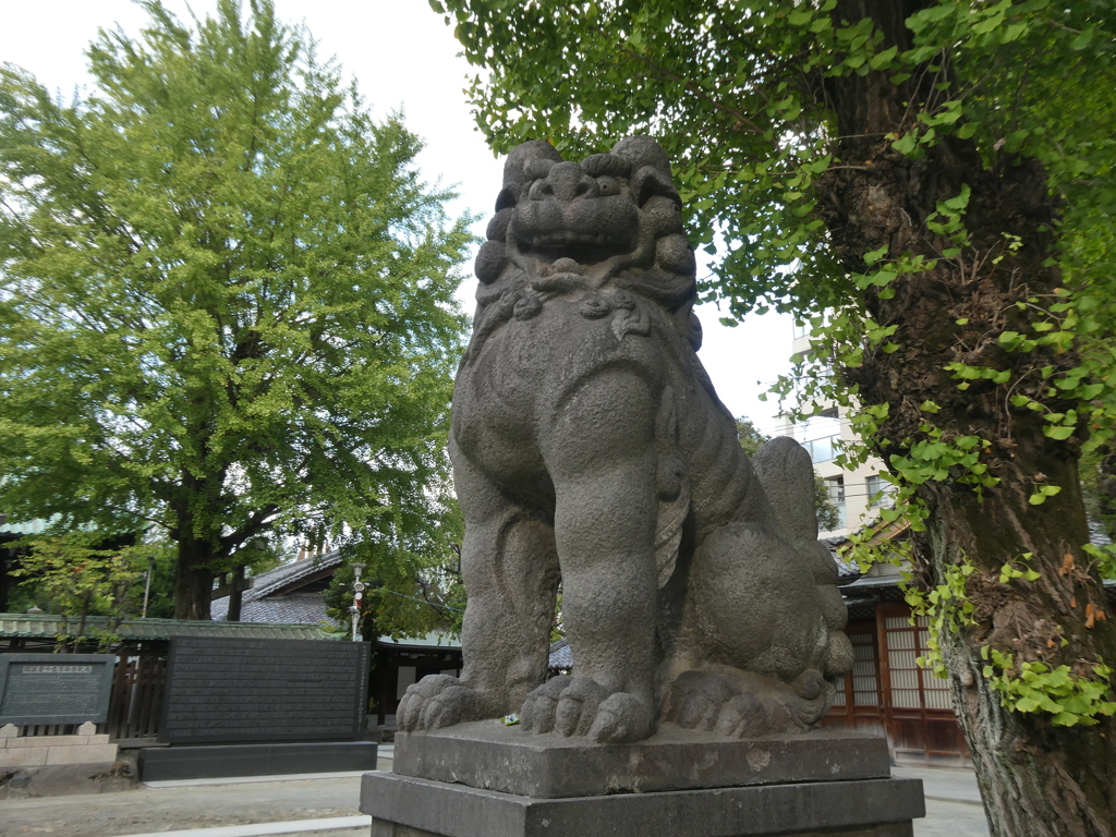 牛嶋神社の狛犬(阿形)