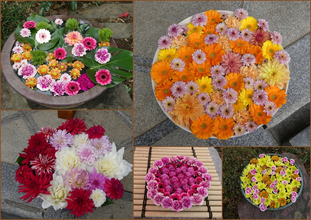 徳星寺の花手水たち