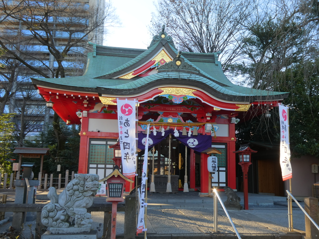 きれいになった川越八幡宮