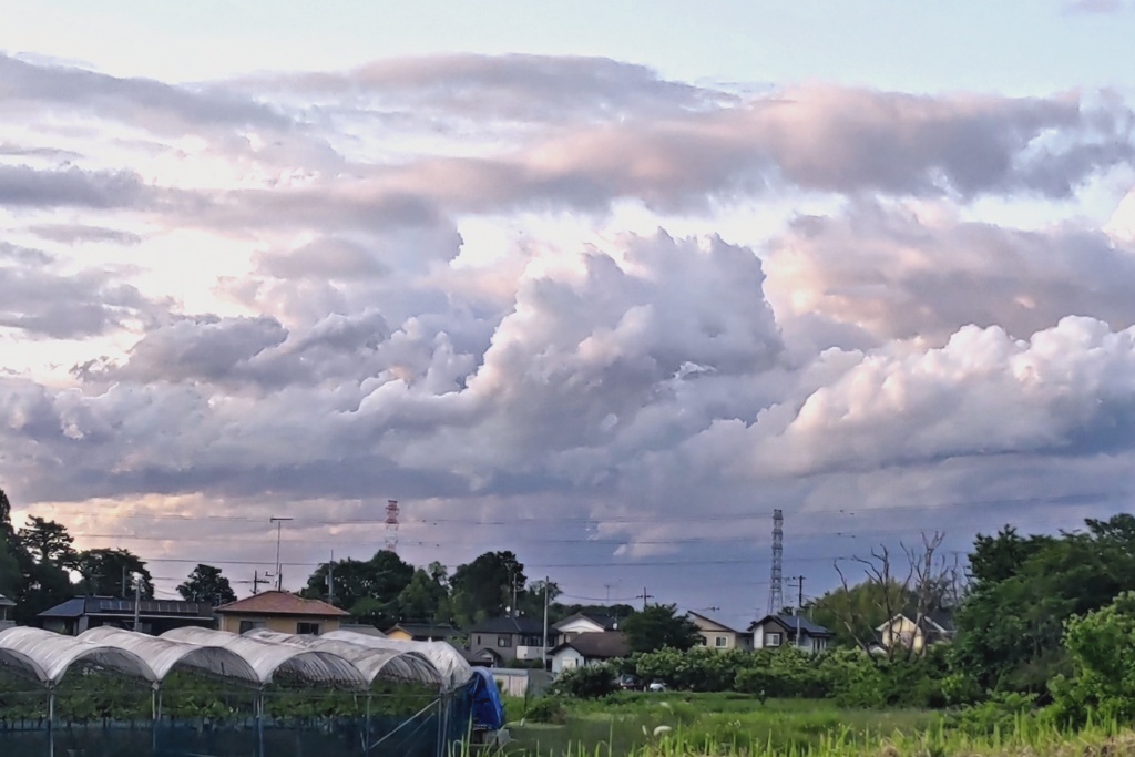 雲のアート(１)
