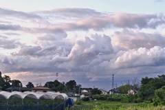 雲のアート(１)