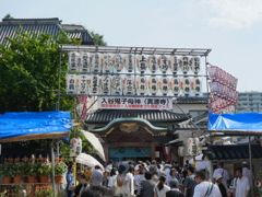賑わう朝顔市の鬼子母神