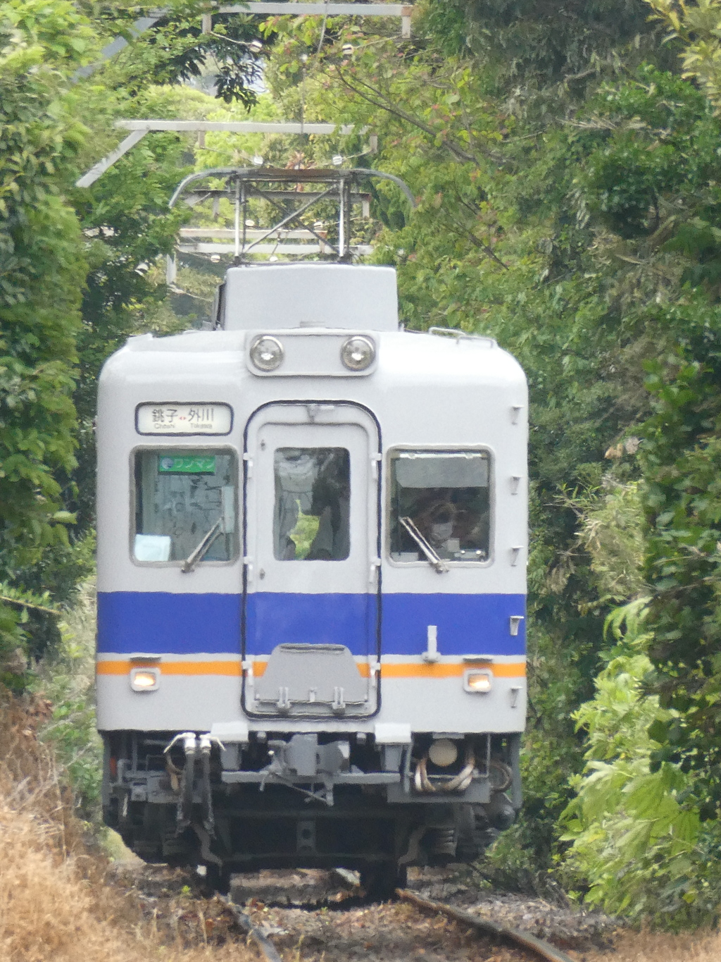 緑のトンネルを通って