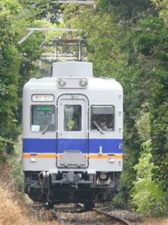 緑のトンネルを通って