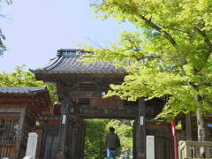 修禅寺山門と青紅葉