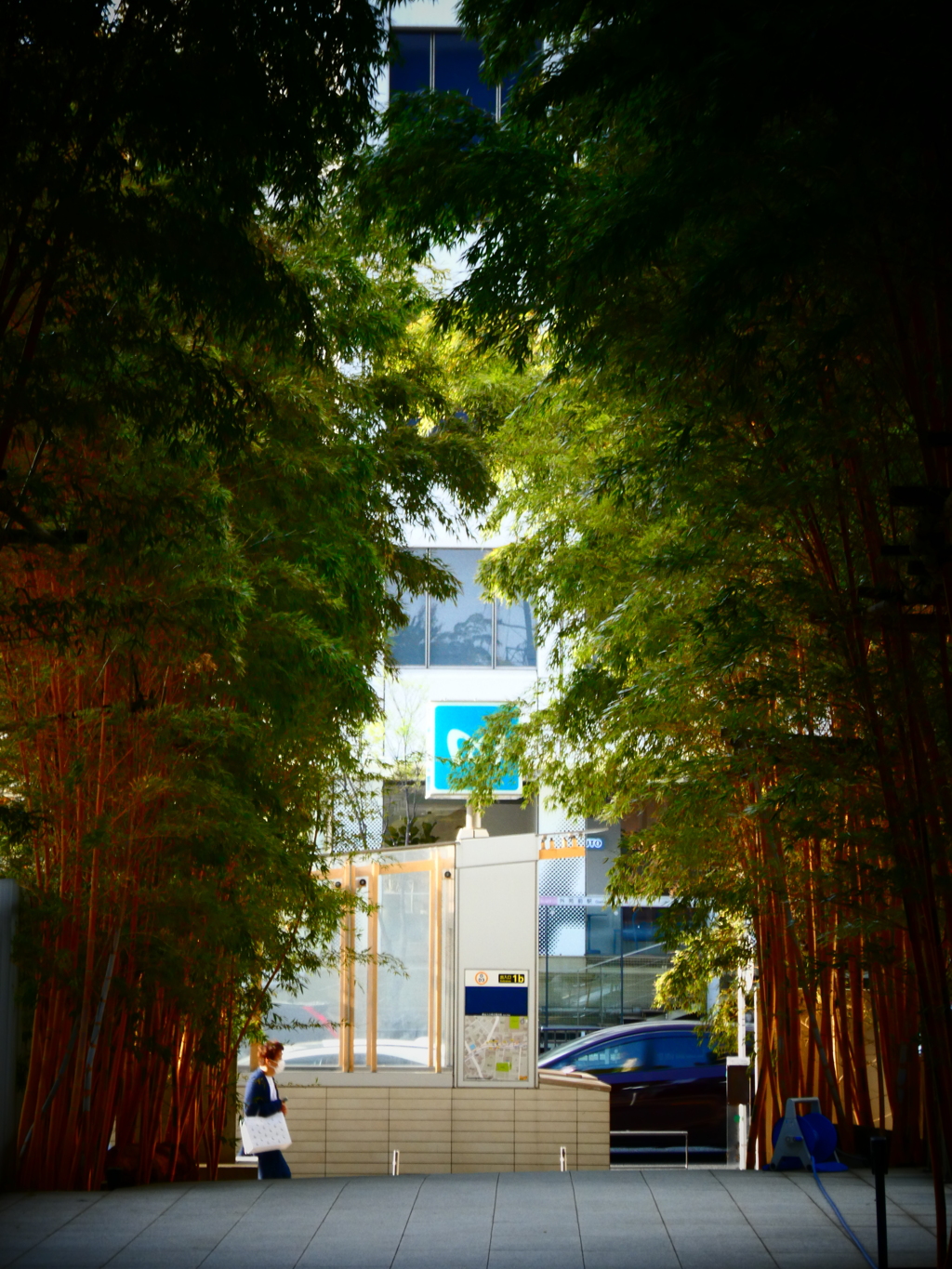 竹林の奥に地下鉄の駅