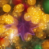 輝くクリスマスの星