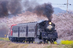 驀進！春のもおか号(２)