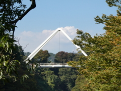 渓谷の三角橋