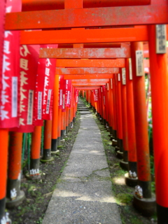 佐助稲荷神社鳥居