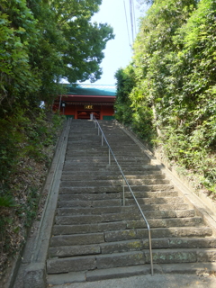 東福寺の階段(下から)