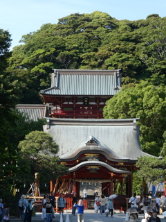 鶴岡八幡宮