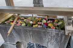 鳩森八幡神社の花手水