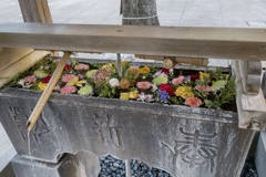 鳩森八幡神社の花手水
