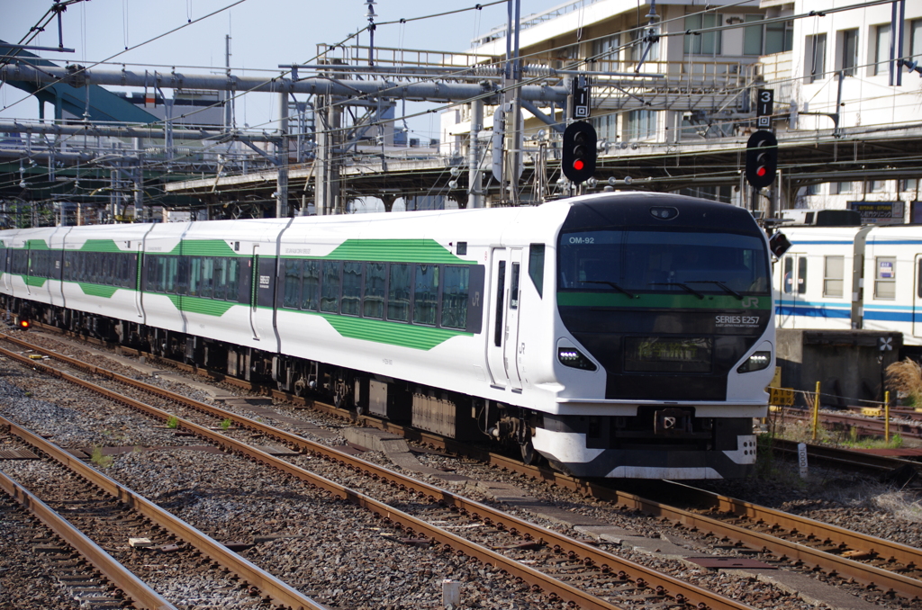 E257系修学旅行列車