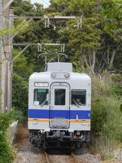 緑のトンネルを抜けて