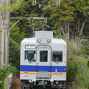 緑のトンネルを抜けて