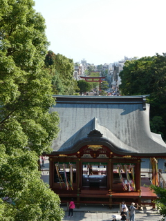 鶴岡八幡宮から若宮大路を望む