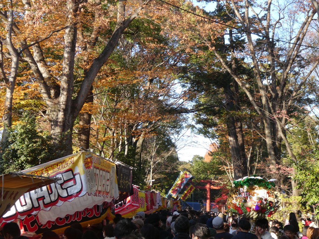 十日市(とおかまち)の氷川神社参道