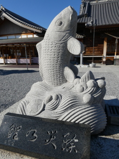 狛鯉(吽形)