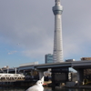ゆりかもめとスカイツリー