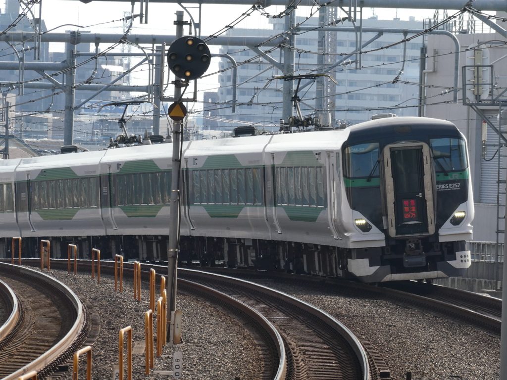 E257系特急「草津・四万」