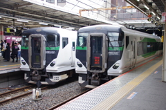 E257系の並び