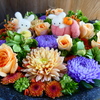 ハロウィンの花手水