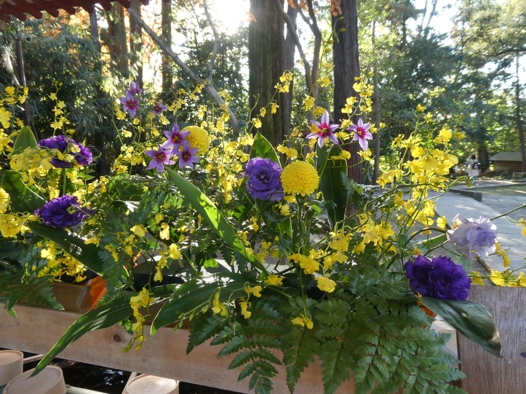 氷川神社の花手水(師走その２)