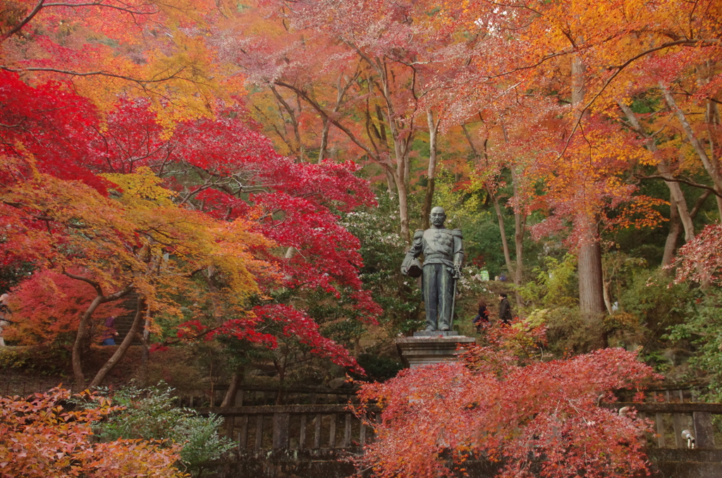 小さく見えても存在感ある・・・