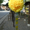 菊の玉飾り(2)