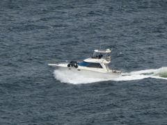 浦賀水道を行くクルーザー