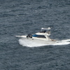 浦賀水道を行くクルーザー