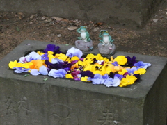 馬場氷川神社の花手水