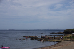 観音崎海岸