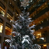 kitte丸の内のクリスマスツリー(3)