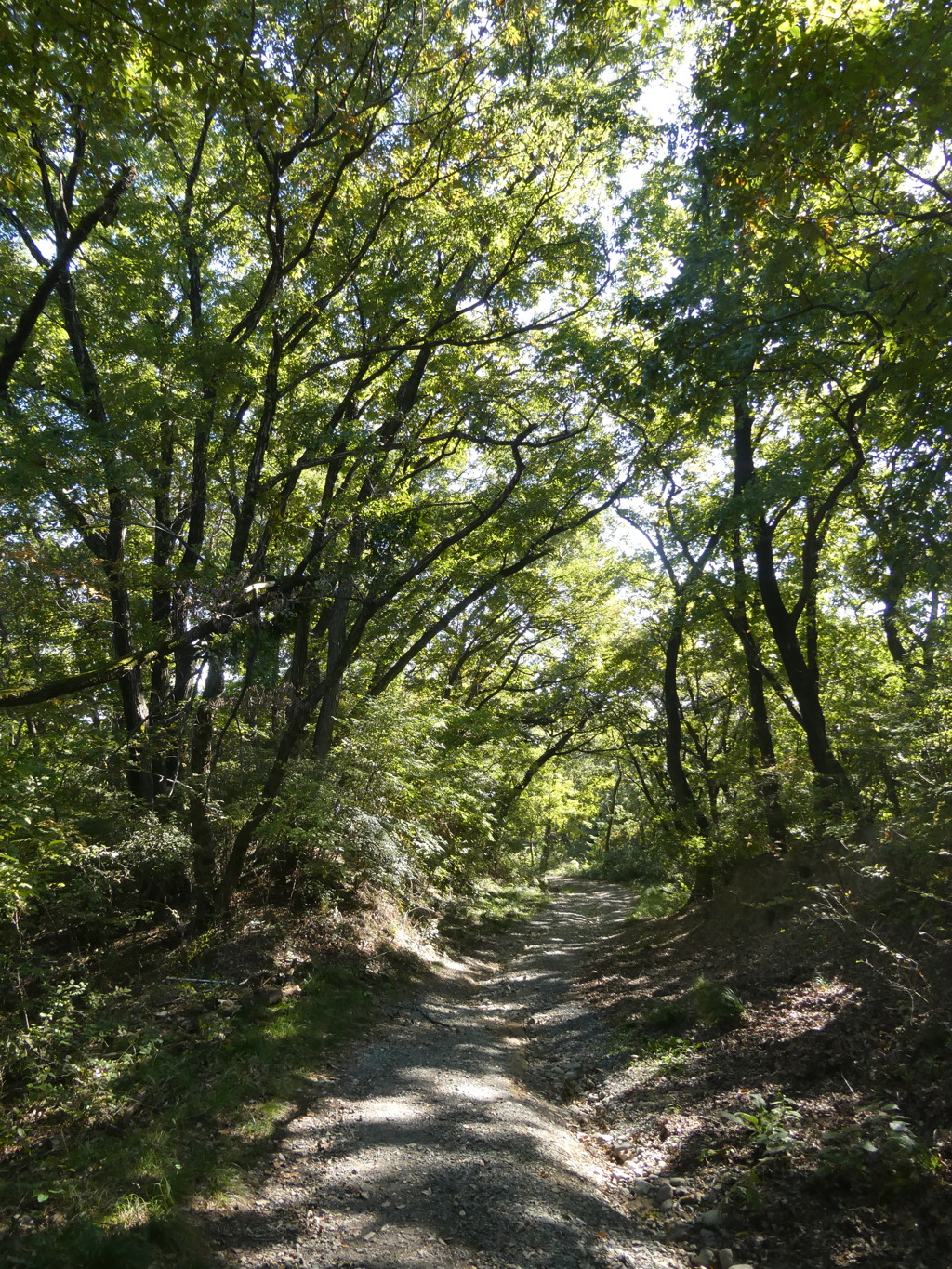 洞窟観音へ通じる山道
