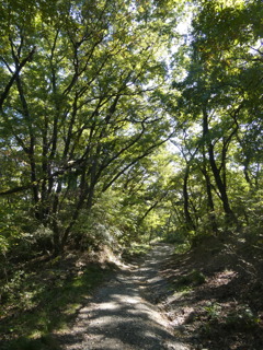 洞窟観音へ通じる山道