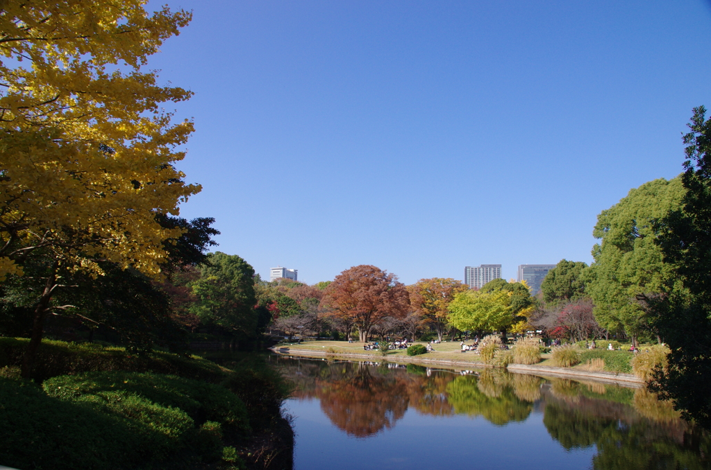 秋の北の丸公園(1)