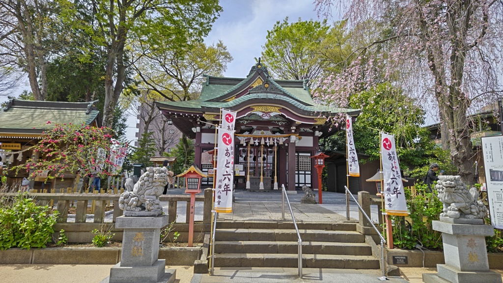 花盛りの川越八幡宮