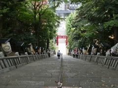 上から見ると・・・